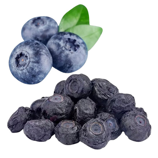 lIOFILIZIRANE-BOROVNICE