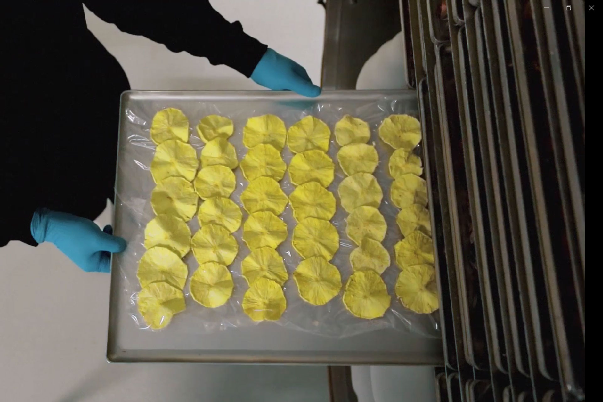 liofiziranosadje-slika1